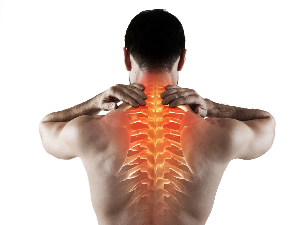 Back Pain